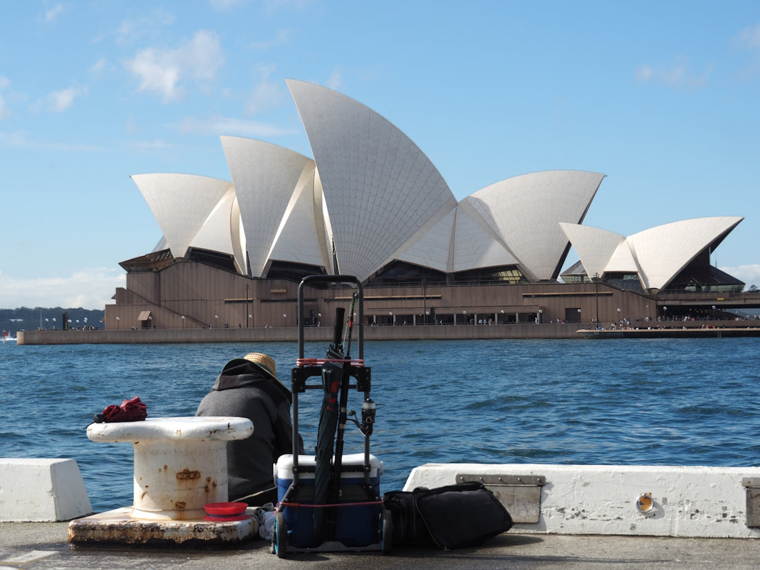 Sydney opera house with a person and cart