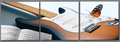 Butterfly on Guitar
