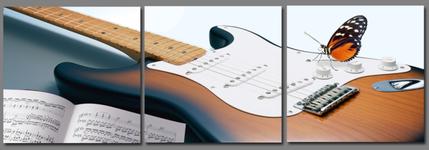 Butterfly on Guitar