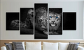 Beautiful Leopard