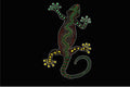 Amazing Aboriginal Art 1JP005