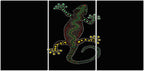 Amazing Aboriginal Art 1JP005