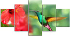 Amazing Humming Bird 1JP008