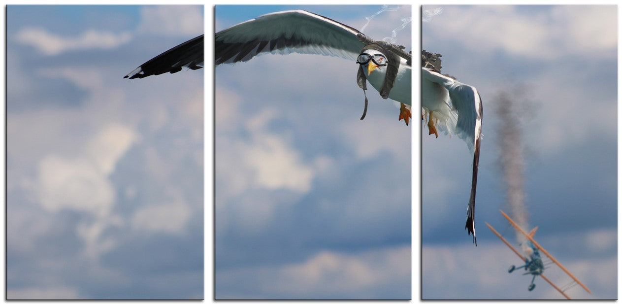 Ace Seagull 1JP083