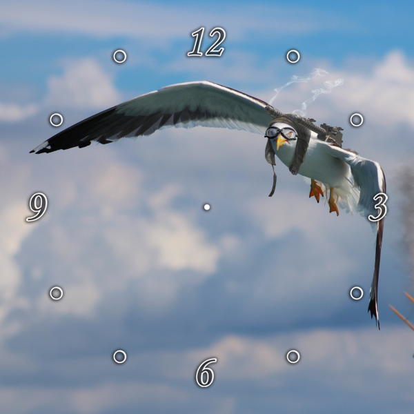 Ace Seagull 1JP083
