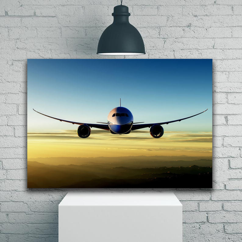 Boeing 787 Head On In Flight 1JP416