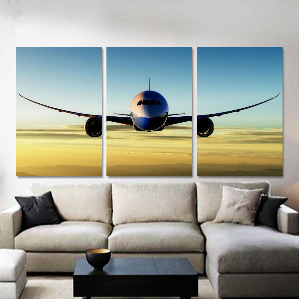 Boeing 787 Head On In Flight 1JP416