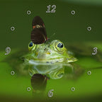 Butterfly on Frog 1JPD144