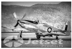 Black & White Mighty Mustang Warbird 1PHM013A
