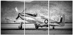 Black & White Mighty Mustang Warbird 1PHM013A