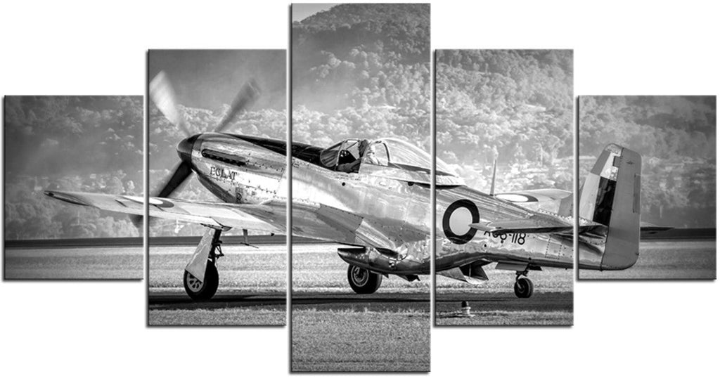 Black & White Mighty Mustang Warbird 1PHM013A