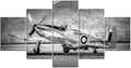 Black & White Mighty Mustang Warbird 1PHM013A