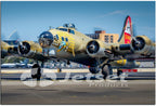 Boeing B-17 Nine 0 Nine 1PHM044