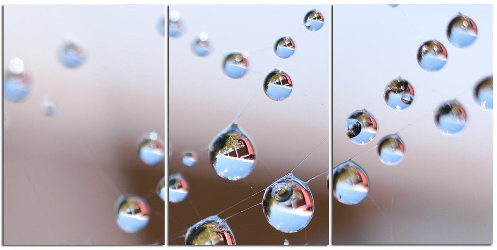 Amazing Water Droplets 1PHM057
