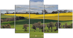 Barley Crop Australia 1JP207