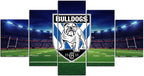 Canterbury Bulldogs 1JPDCAN