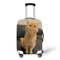 Cat With Attitude Luggage / Suitcase Covers